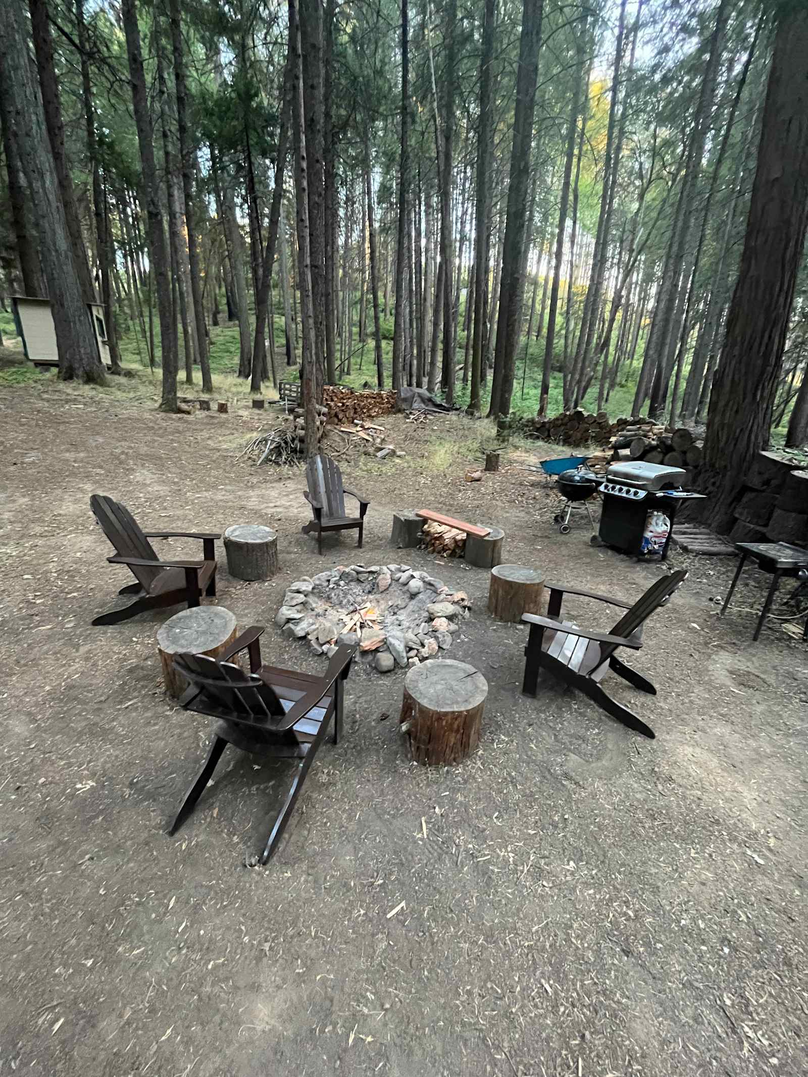 Unplug for nature, dogs, and kids - Mokelumne Hill, California - glamping.directory