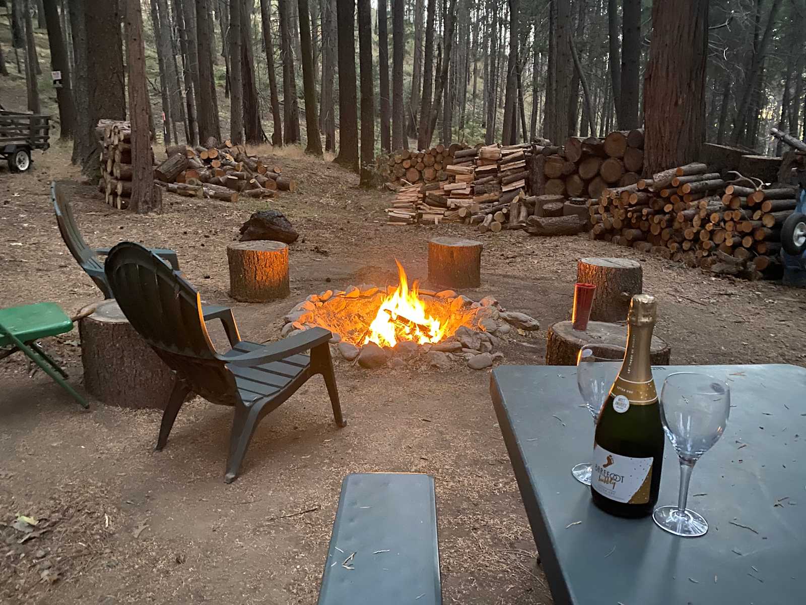 Unplug for nature, dogs, and kids - glamping.directory