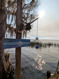 Waterfront Glamping Tent at Clothing Optional Glamping Resort on Lake George, Flordia - Seville, Florida - glamping.directory