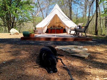 Fern Dell - Air Conditioned in Hot Springs National Park, Arkansas - Hot Springs, Arkansas - glamping.directory
