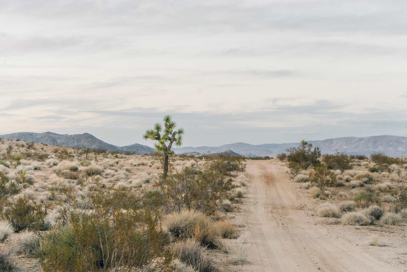 Dave's Campground @ Joshua Tree - Homestead Valley, California - glamping.directory