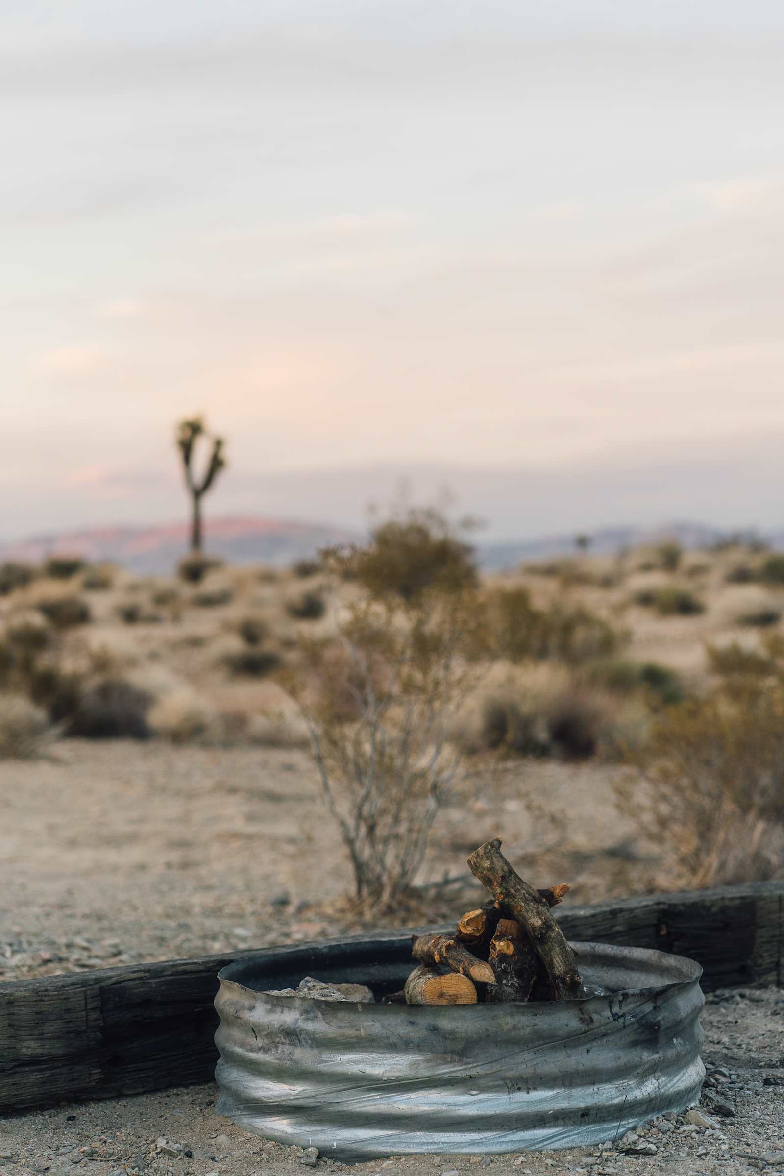 Dave's Campground @ Joshua Tree - Homestead Valley, California - glamping.directory