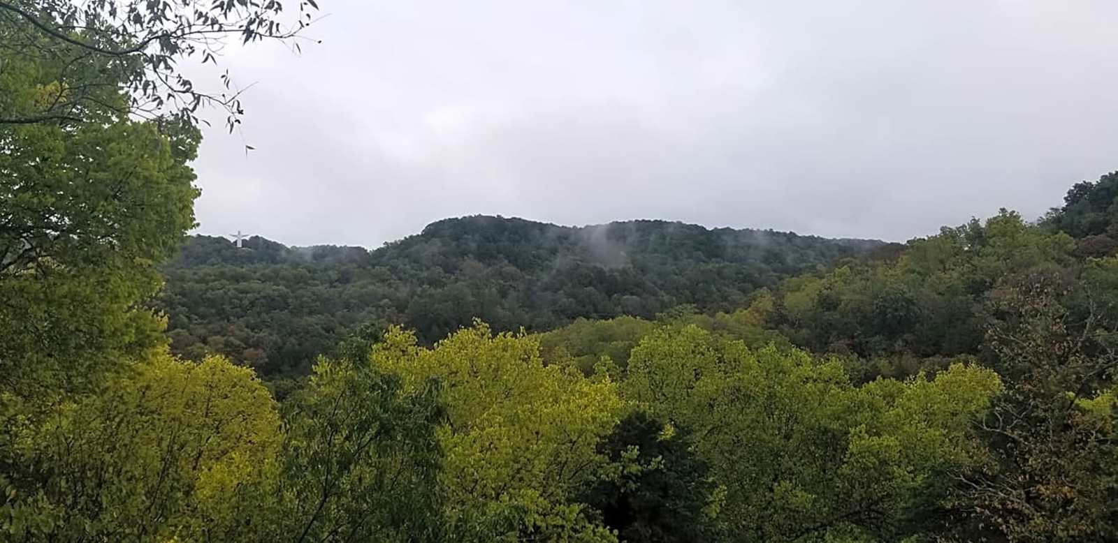 Treehouse Village - Eureka Springs, Arkansas - glamping.directory