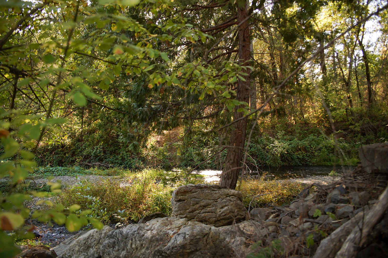 Camp Run Amuck Hollow - Penn Valley, California - glamping.directory