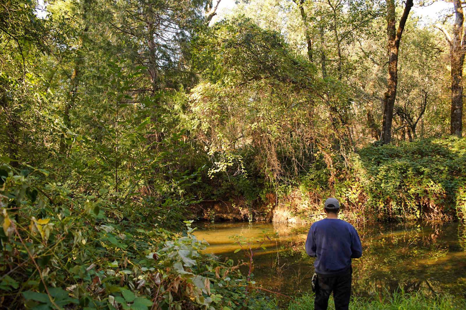 Camp Run Amuck Hollow - Penn Valley, California - glamping.directory