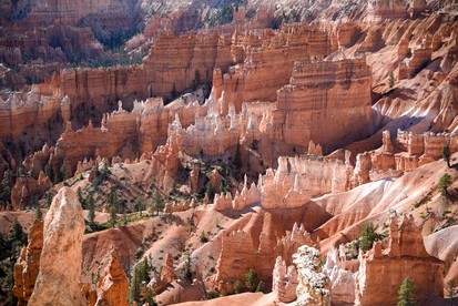 Tropic Rental for the Best Places to Go in Utah - Tropic, Utah - glamping.directory