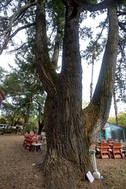 Dreamy Fairy Tale Hut Rental with Pool and Sauna Access at Retreat in Sonoma County - Geyserville, California - glamping.directory