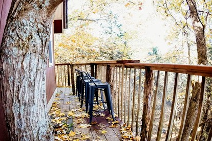 Enchanting Tree House with a Slide on 200 Acres for a Family Adventure in Germantown, Kentucky - Germantown, Kentucky - glamping.directory