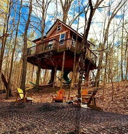 Enchanting Tree House with a Slide on 200 Acres for a Family Adventure in Germantown, Kentucky - Germantown, Kentucky - glamping.directory