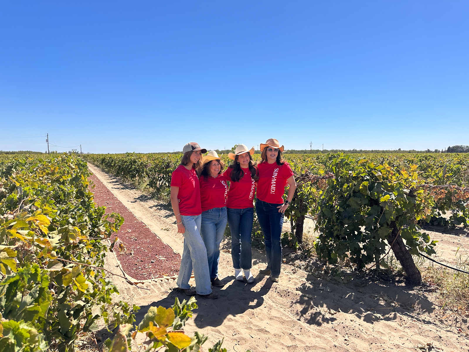 RandCher Vineyards - Caruthers, California - glamping.directory