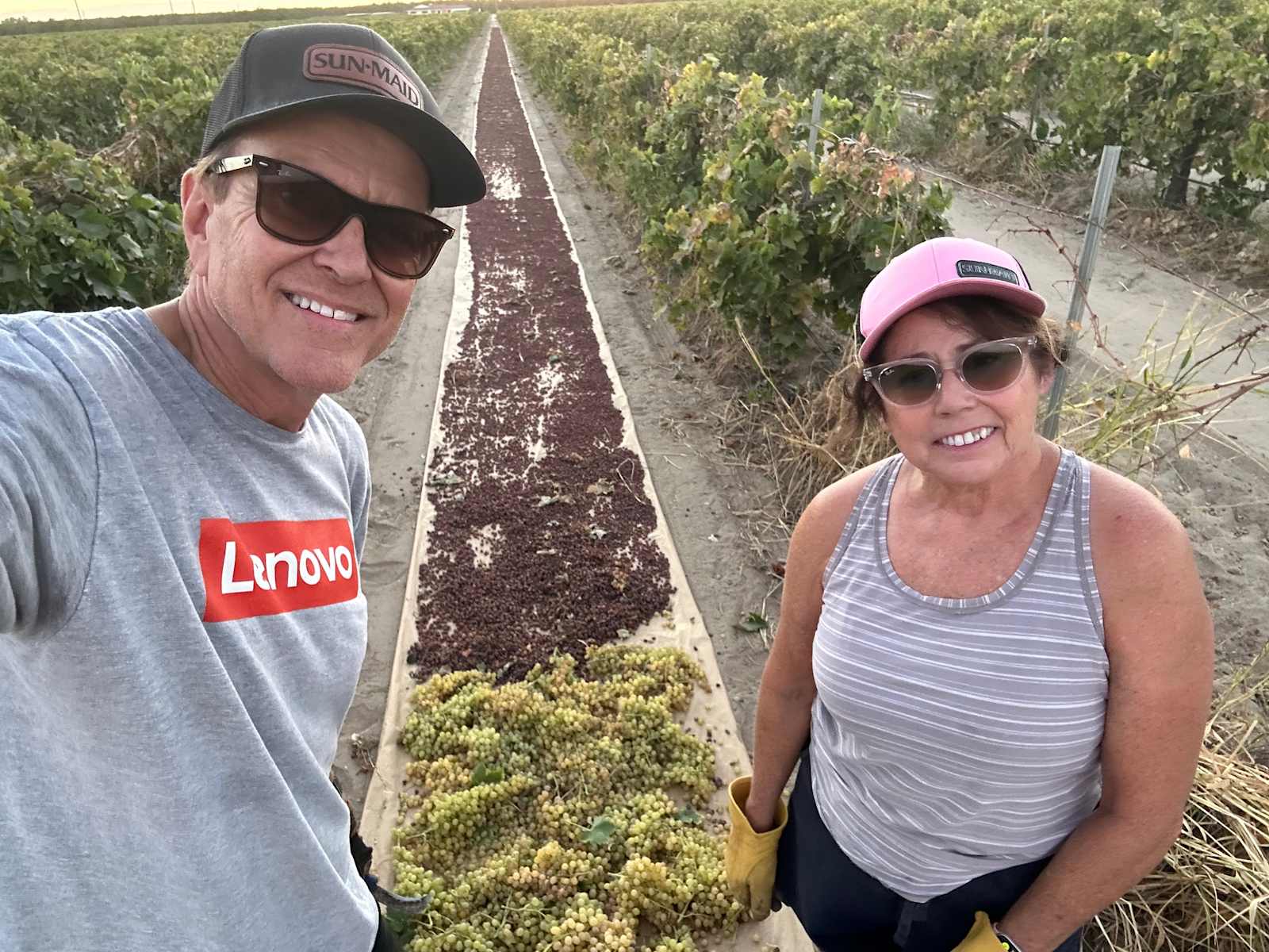 RandCher Vineyards - Caruthers, California - glamping.directory