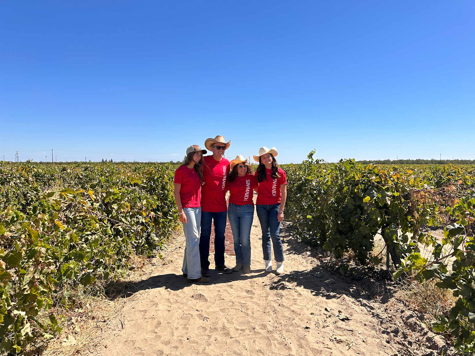 RandCher Vineyards - Caruthers, California - glamping.directory