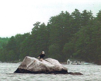 Lakefront Cottage Getaway with Lovely Views on Lake Winnipesaukee, New Hampshire - Moultonborough, New Hampshire - glamping.directory