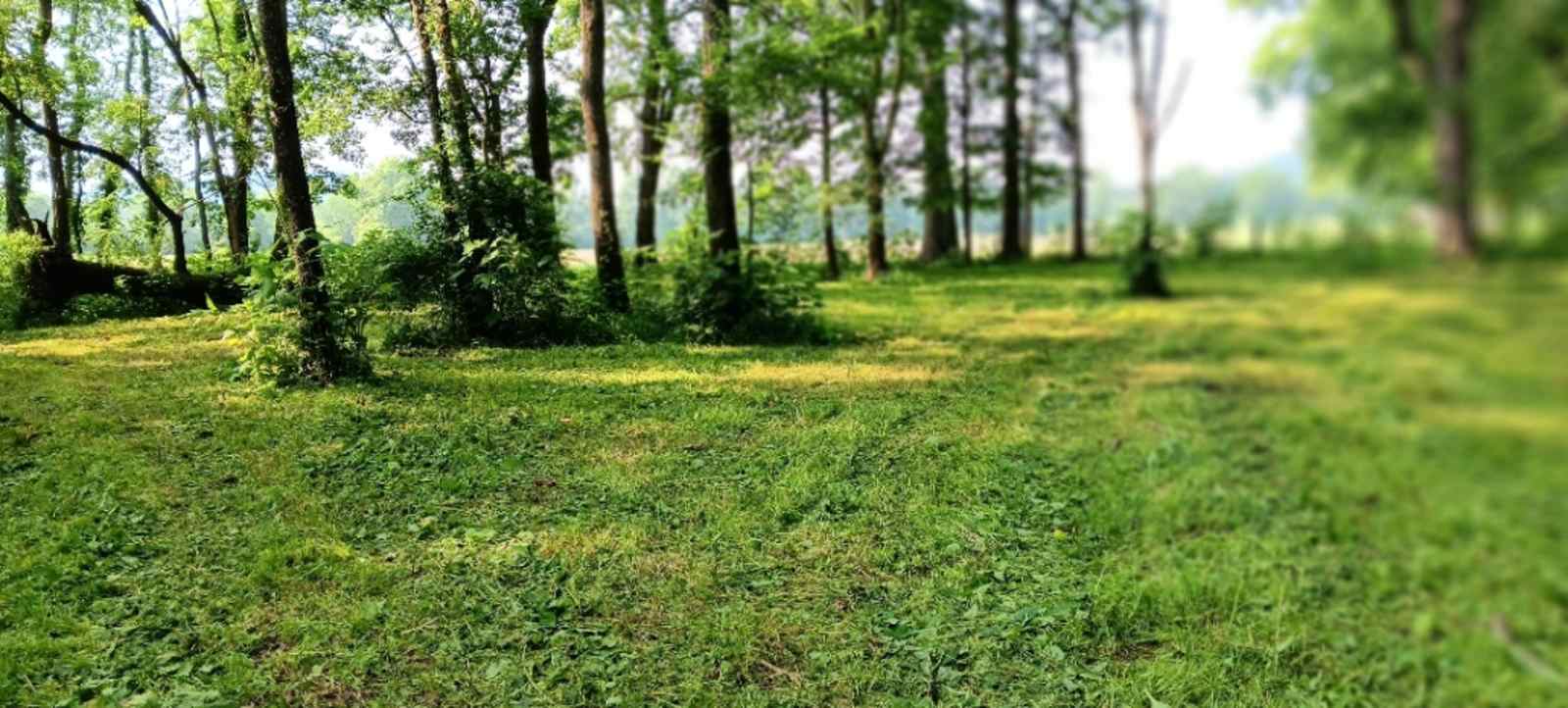 Cottaquilla Creek Campground - Jacksonville, Alabama - glamping.directory