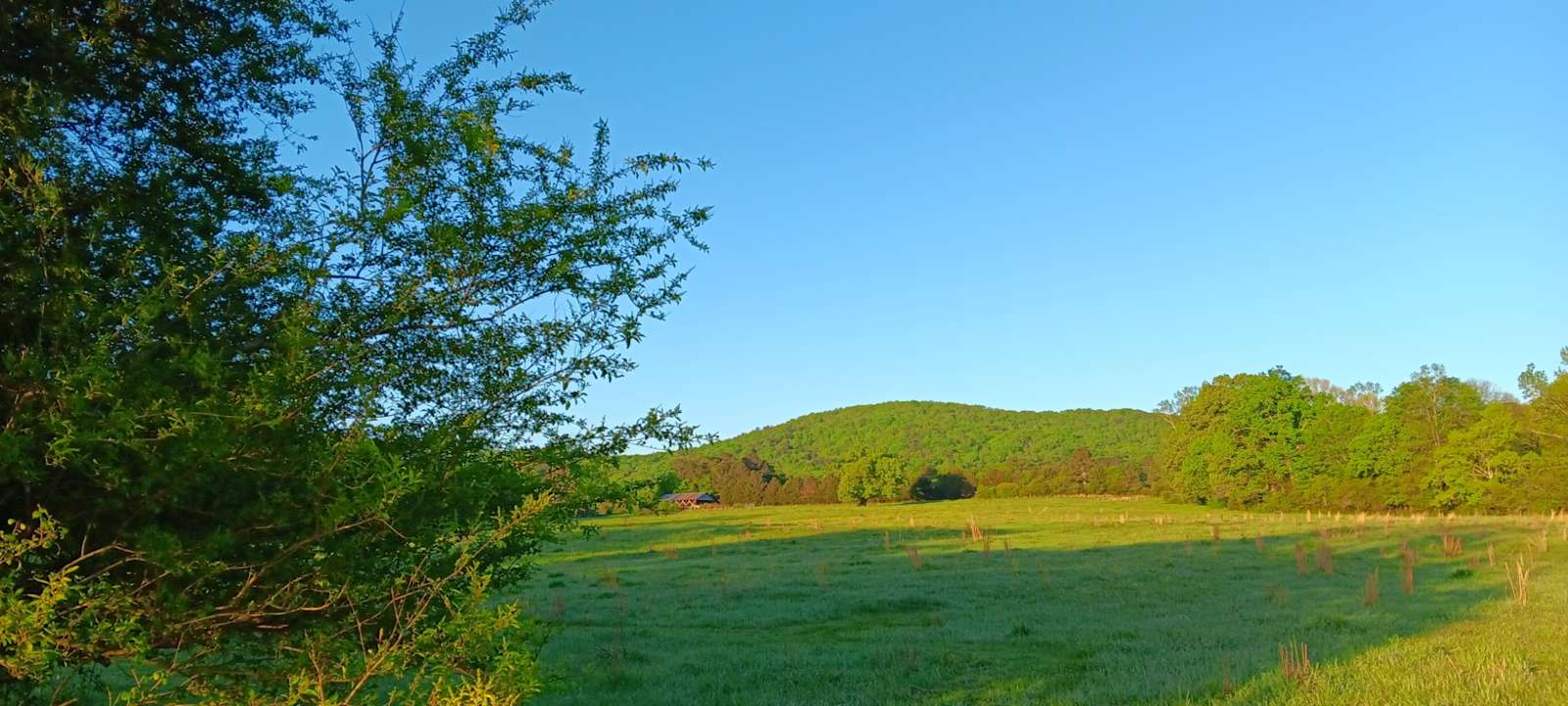 Cottaquilla Creek Campground - Jacksonville, Alabama - glamping.directory