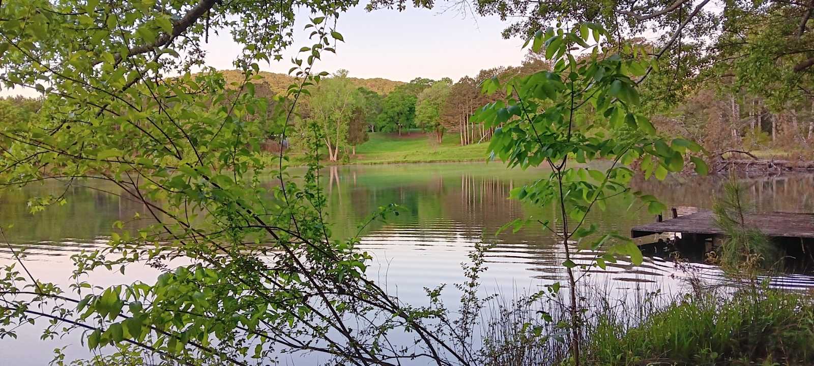 Cottaquilla Creek Campground - glamping.directory