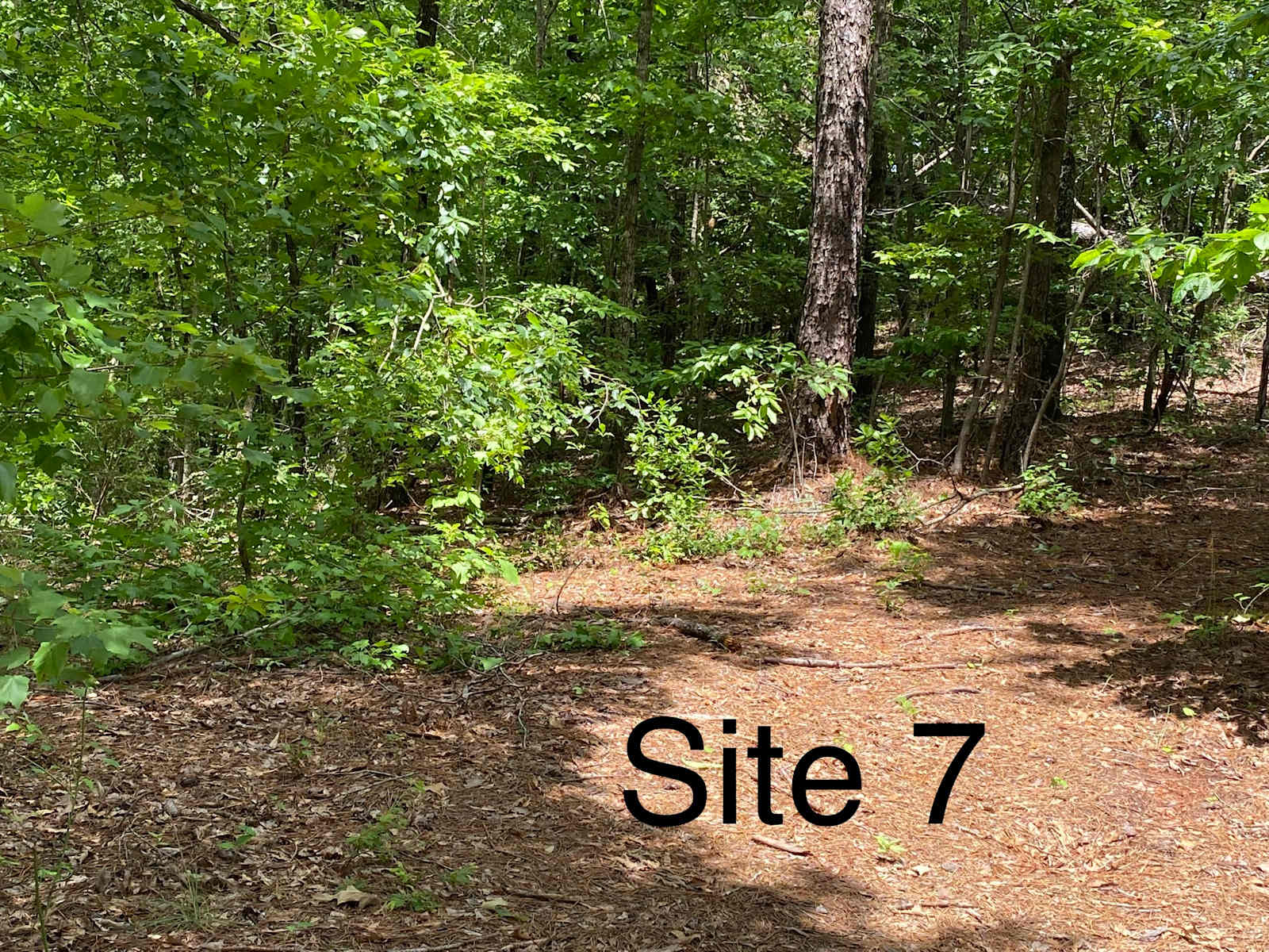 Buck Creek Junction - Dadeville, Alabama - glamping.directory