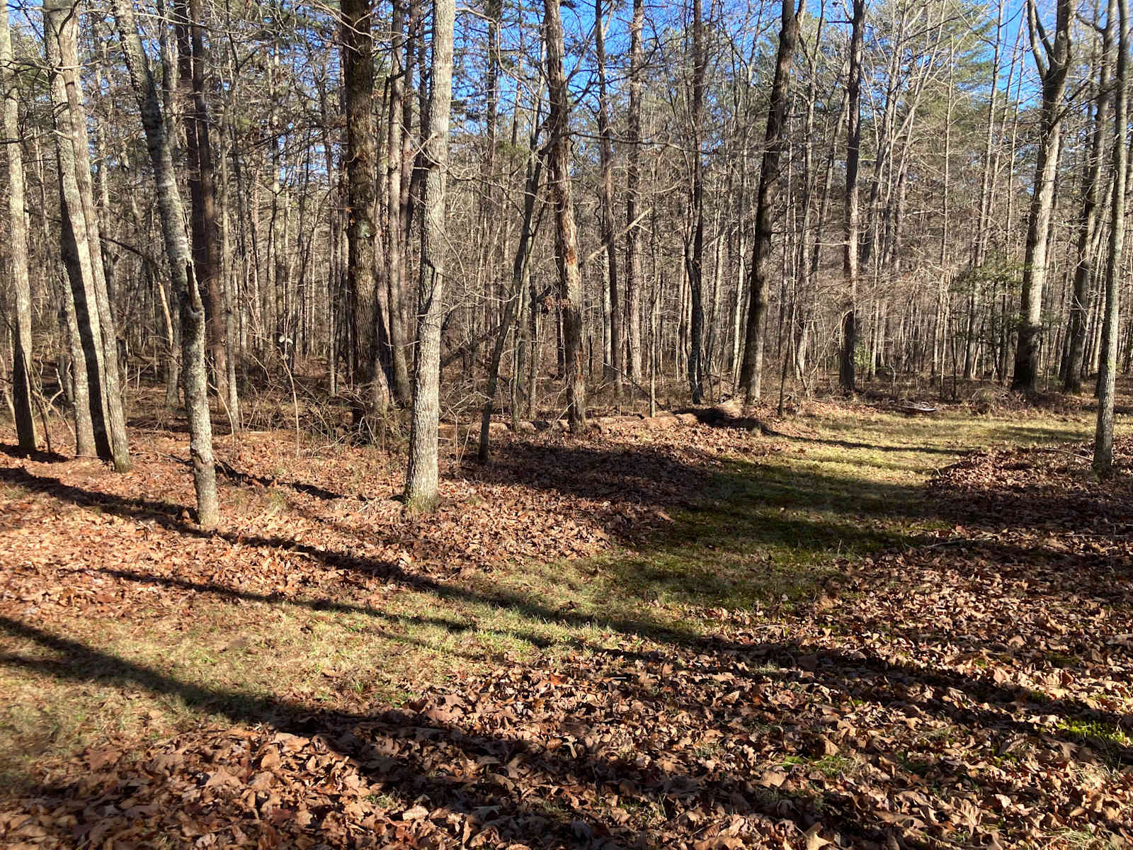 Cattail Cottages & Campgrounds - Atlanta, Alabama - glamping.directory