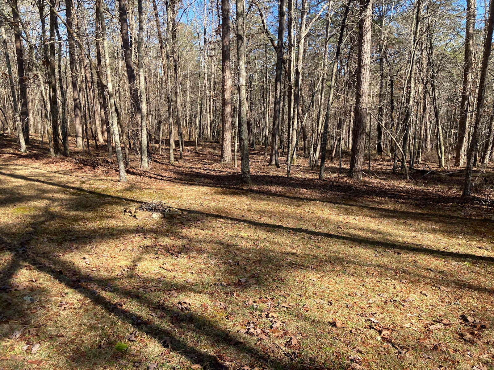Cattail Cottages & Campgrounds - Atlanta, Alabama - glamping.directory