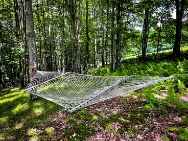 Off-Grid Tiny Cabin Retreat with Fire Pit & Forest Views in Bovina, New York - Bovina, New York - glamping.directory