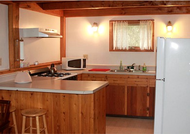 Rustic Cabin Accommodation with Access to a Fire Pit near Sterling, Alaska - Sterling, Alaska - glamping.directory