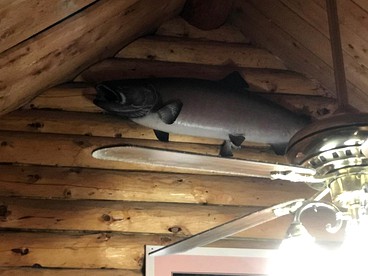 Family-Friendly Log Cabin with a Deck near Cook Inlet, Alaska - Soldotna, Alaska - glamping.directory