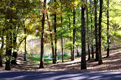 Peaceful Hideaway Cabin with Sunroom and Fire Pit near Lake Ouachita, Arkansas - Mount Ida, Arkansas - glamping.directory
