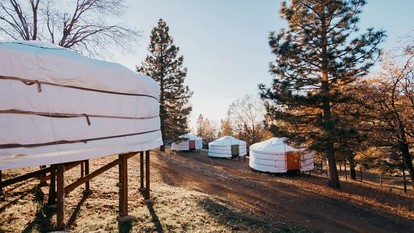 Authentic Mongolian Yurt in Sequoia National Forest, Perfect for a Glamping Retreat in Nature - Dunlap, California - glamping.directory