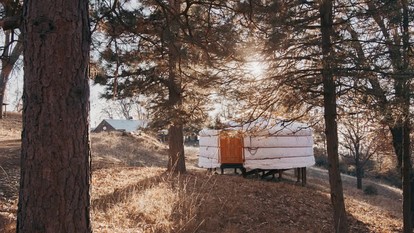 Authentic Mongolian Yurt in Sequoia National Forest, Perfect for a Glamping Retreat in Nature - Dunlap, California - glamping.directory