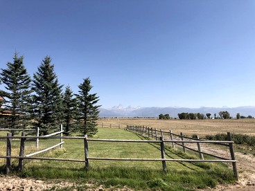 Charming Tiny Home with Scenic Views near River Activities in Tetonia, Idaho - Tetonia, Idaho - glamping.directory