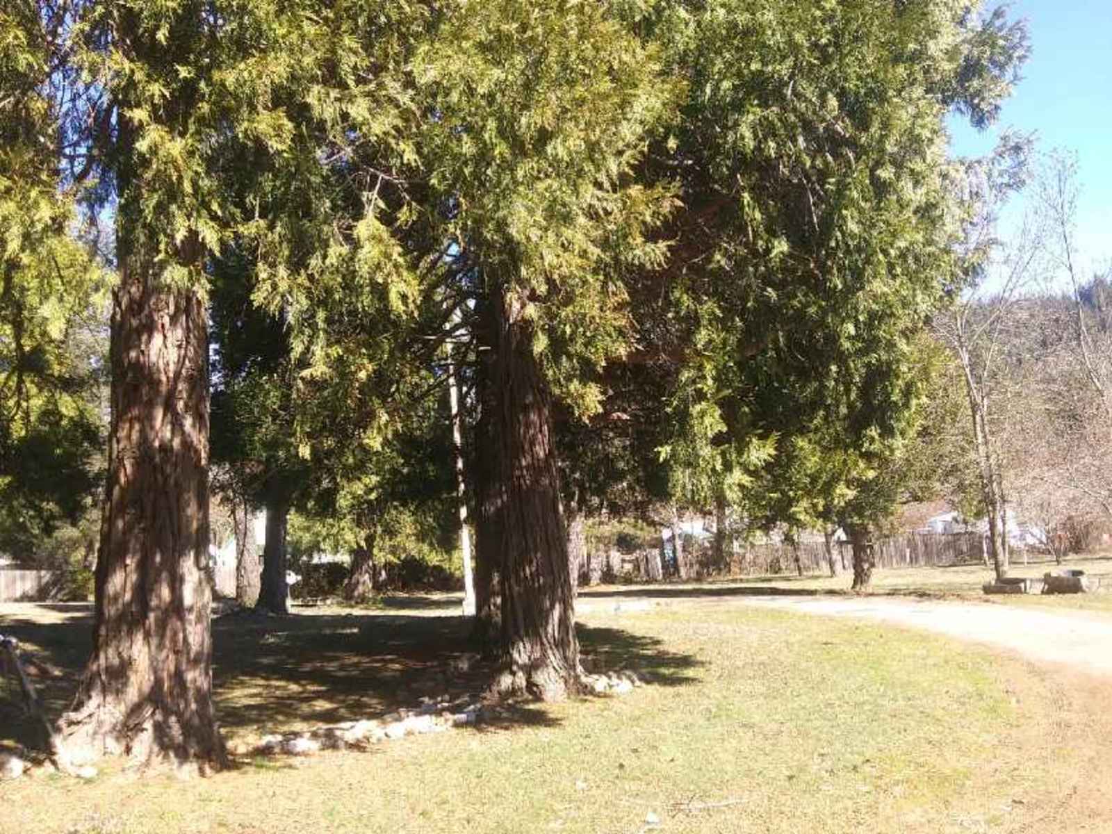 Cabin Hideaway - Dunsmuir, California - glamping.directory
