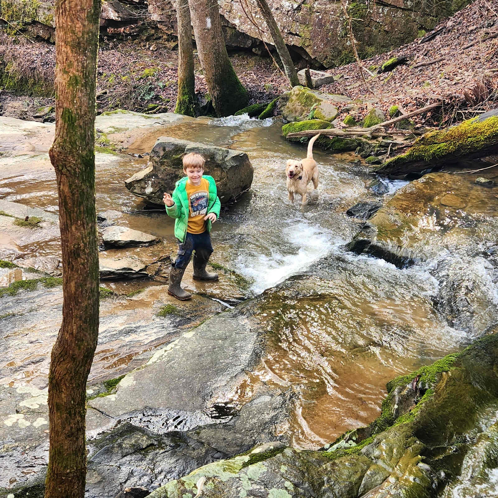 Dark Hollow - Crossville, Alabama - glamping.directory