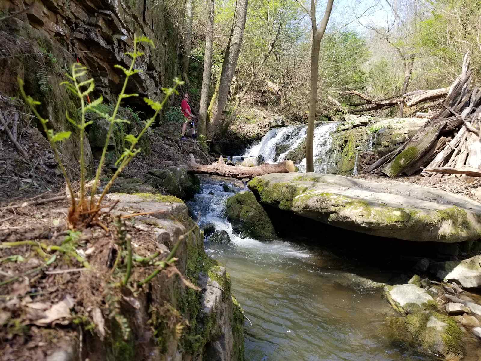 Dark Hollow - Crossville, Alabama - glamping.directory