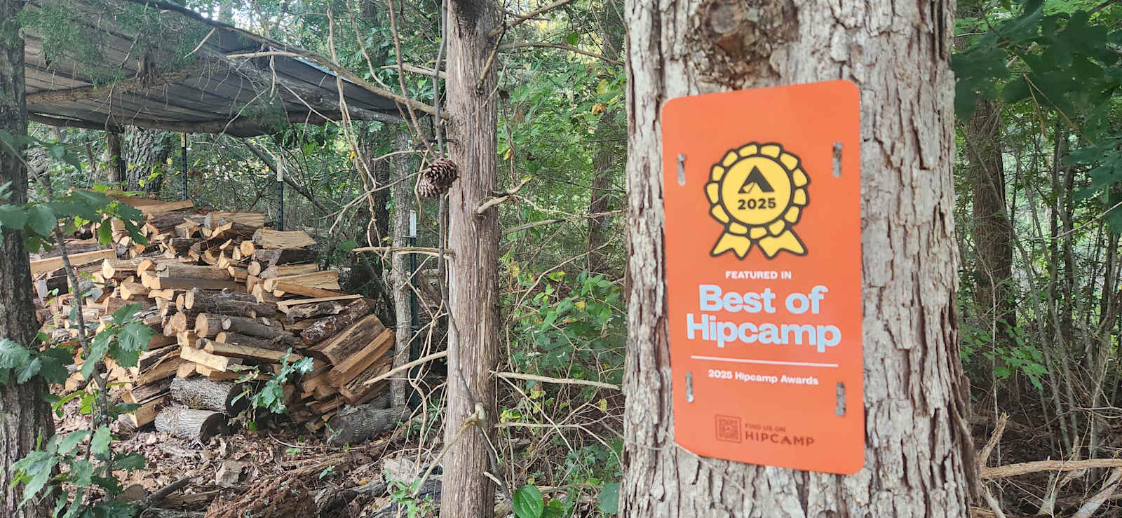 Dark Hollow - glamping.directory