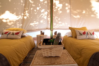 Luxurious Glamping Tent Rental in the Emerald Triangle for a Unique Vacation in California - Willow Creek, California - glamping.directory