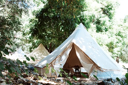 Luxurious Glamping Tent Rental in the Emerald Triangle for a Unique Vacation in California - glamping.directory