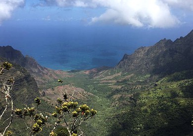 Rooftop Tent and Truck Rental for Unforgettable Island Escape in Kauai, Hawaii - Kalaheo, Hawaii - glamping.directory