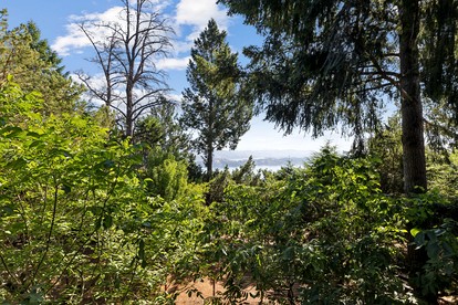 Charming A-Frame with Stunning Views in Kelseyville, California - Kelseyville, California - glamping.directory