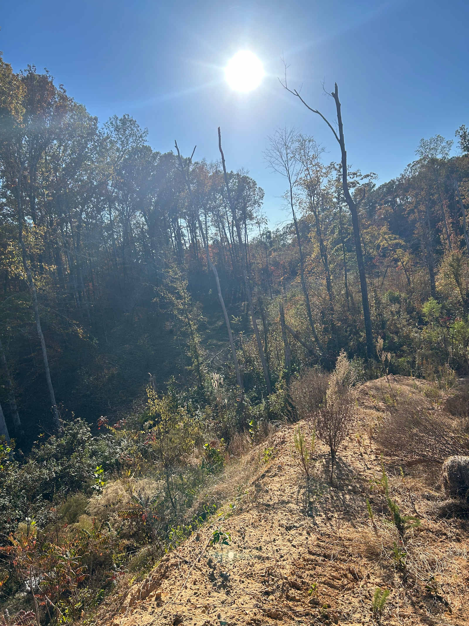 Happy hooves - Tuscaloosa, Alabama - glamping.directory