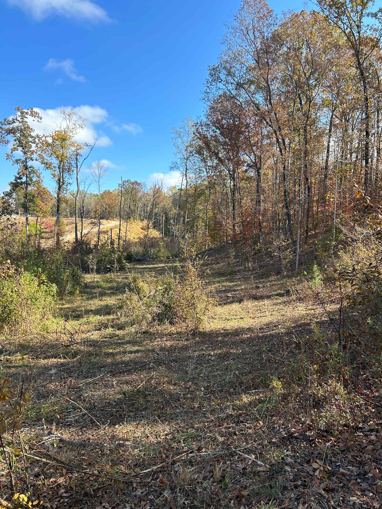 Happy hooves - Tuscaloosa, Alabama - glamping.directory