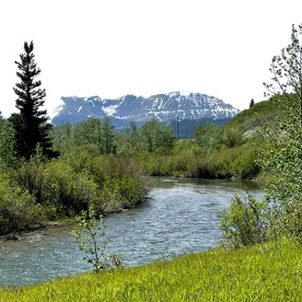 Peaceful, Tented Glamping Tipi with Easy Access to Eastside Glacier National Park in Montana - Browning, Montana - glamping.directory