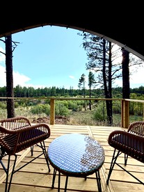 Cozy Family Glamping Escape with Heritage Orchard near Mountainair in Torreon, New Mexico - Torreon, New Mexico - glamping.directory