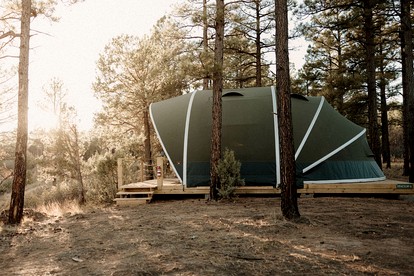 Cozy Family Glamping Escape with Heritage Orchard near Mountainair in Torreon, New Mexico - Torreon, New Mexico - glamping.directory