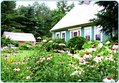 Pet-Friendly Accommodation on a 50-Acre Property near the Lakes Region of Maine - glamping.directory