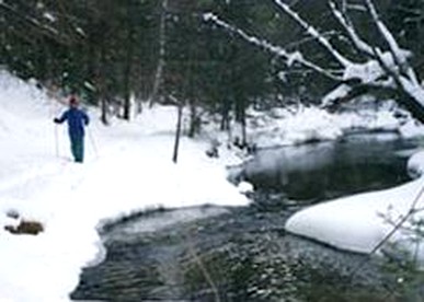 Pet-Friendly Accommodation on a 50-Acre Property near the Lakes Region of Maine - Brownfield, Maine - glamping.directory