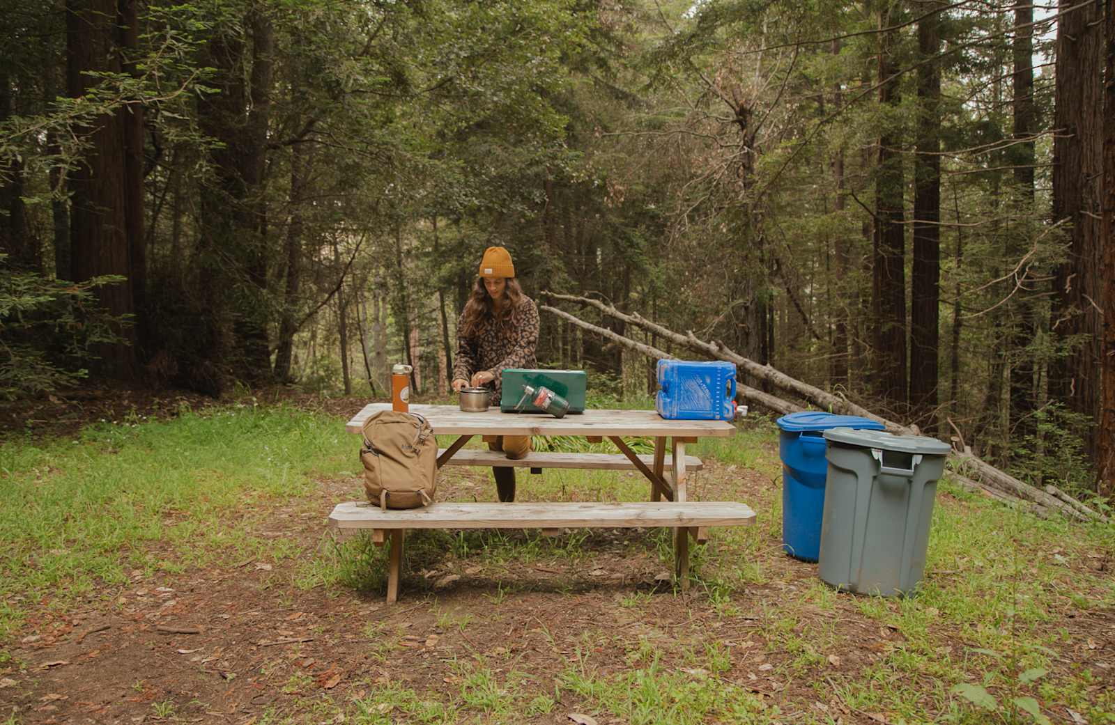 Redwood Paradise - Santa Cruz, California - glamping.directory
