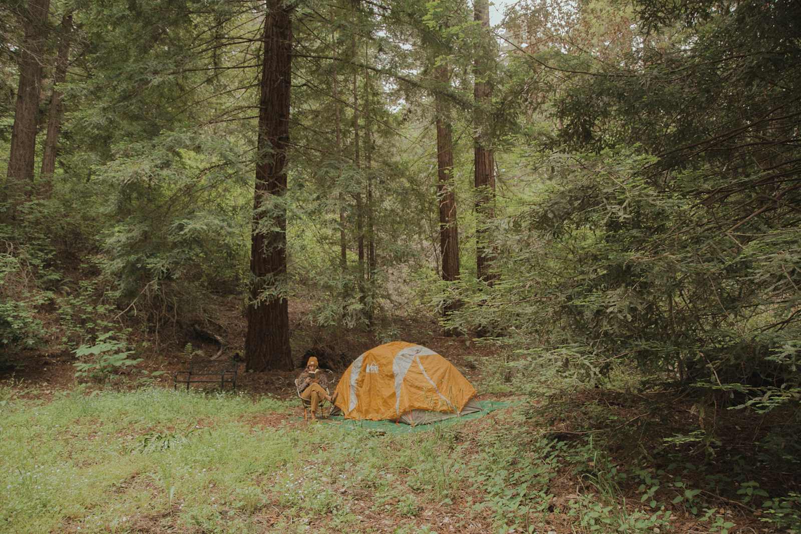Redwood Paradise - Santa Cruz, California - glamping.directory