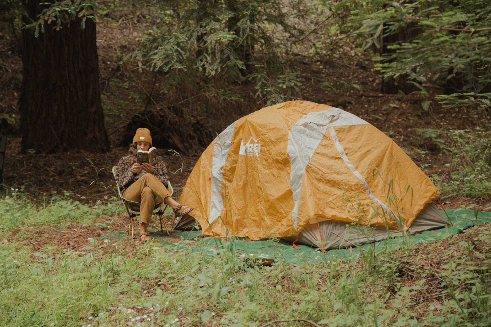 Redwood Paradise - glamping.directory