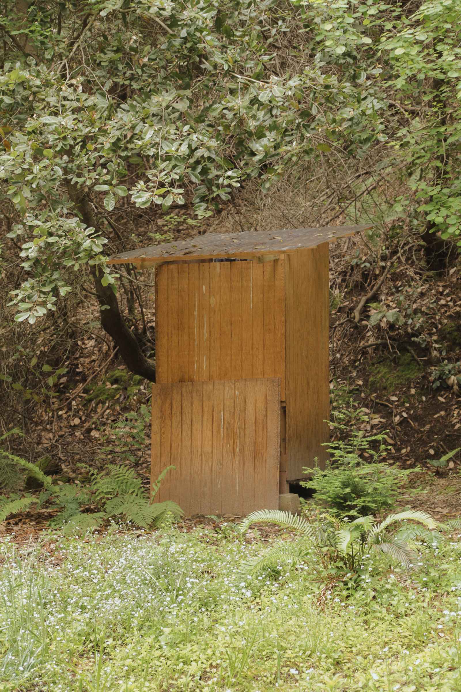Redwood Paradise - Santa Cruz, California - glamping.directory