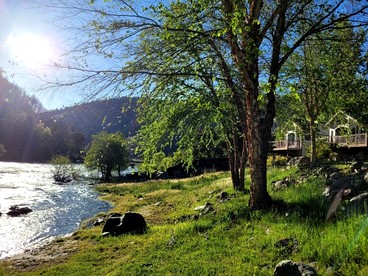 Elegant Cottage Rental on Banks of Trinity River, California - Big Flat, California - glamping.directory